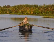 Cuộc thi bơi của người thầy Do Thái