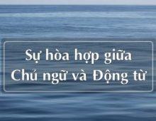 Bài tập trắc nghiệm toeic sự hòa hợp S-V phần 2
