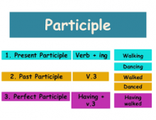Phân từ( participle)