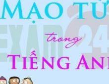 Bài tập trắc nghiệm mạo từ phần 2