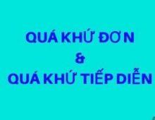 Bài tập trắc nghiệm thì quá khứ đơn và quá khứ tiếp diễn