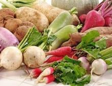 Từ vựng tiếng Anh chủ đề về các loại rau củ quả_p3