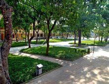 Từ vựng tiếng Anh chủ đề trường học.