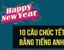 10 câu chúc tết bằng tiếng Anh ý nghĩa năm Kỷ Hợi 2019