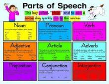 Bài tập về từ loại Toeic Part 6
