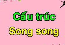 Bài tập cấu trúc câu song song Toeic