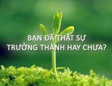Trưởng thành khác với "trẻ trâu" như thế nào?